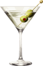 Cocktail feest - Gin tonic bar - The Botanical Bliss Gin Bar